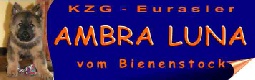 Ambra Luna vom Bienenstock