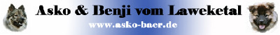 Banner_www_asko-baer_de$20Kopie02