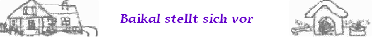 Baikal stellt sich vor