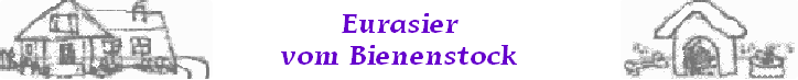 Eurasier
vom Bienenstock