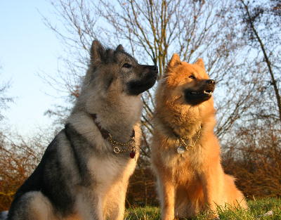 Aysha & Cheyenne